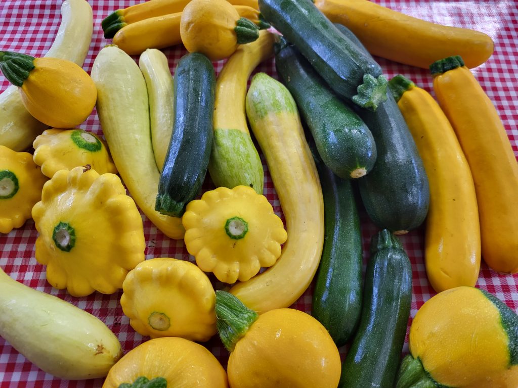 Farm Stand - Muth Family Farm